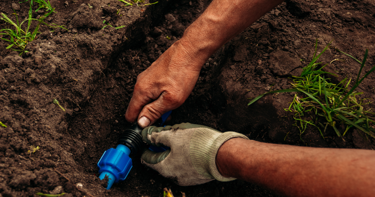 Palmetto home with new irrigation system watering front and side yard