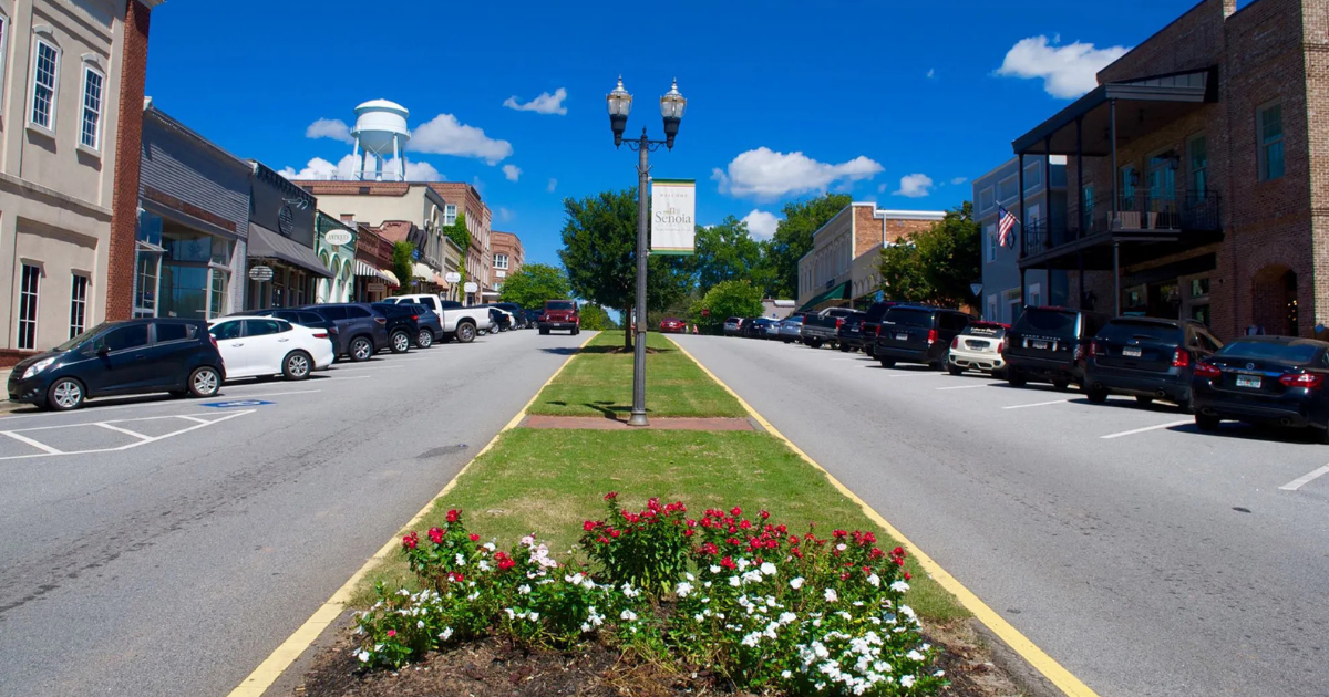 Technician troubleshooting an irrigation system in a Senoia backyard